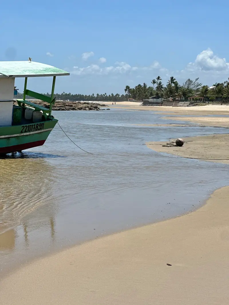 Barco de pesca na praia e a faixa de coqueiros ao longe