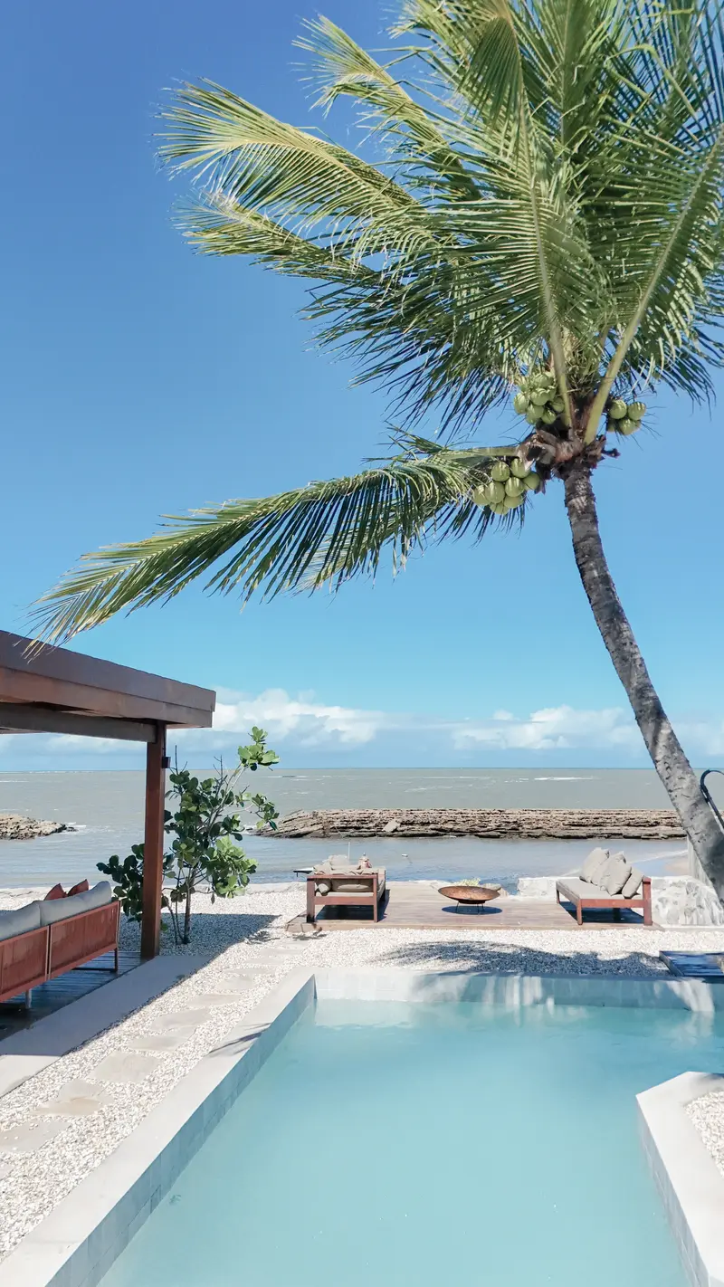 Piscina e deck sob um coqueiro, com o mar e os arrecifes logo atrás