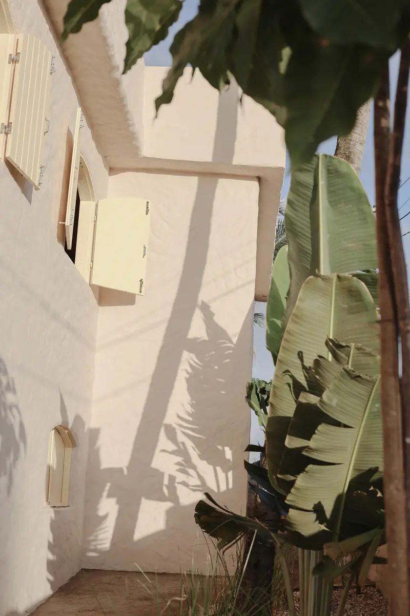 Lateral da casa com bananeira e janelas amarelas