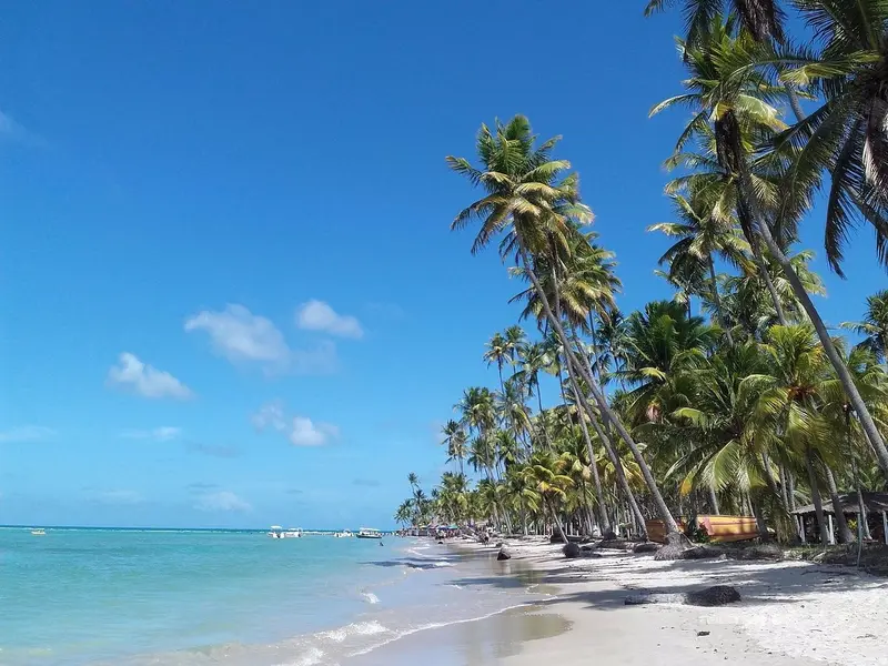 Praia de coqueiros e água clara