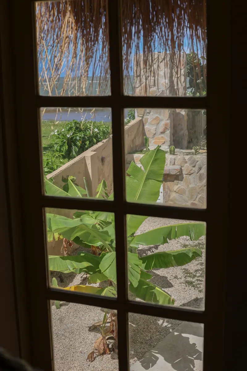 Janela de madeira com vista para o jardim e a bananeira